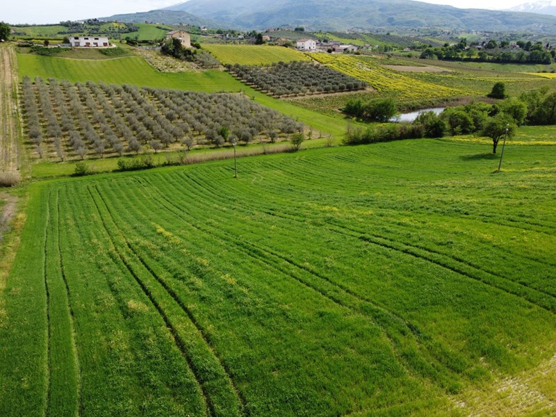 Terreno agricolo in Vendita a Manoppello, 49'000€, 16000 m²