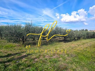 Terreno agricolo in Vendita a Rosignano Marittimo, 39'000€, 15000 m²