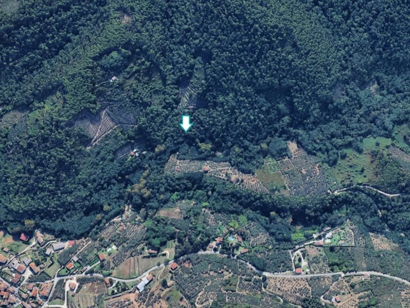 Terreno agricolo in Vendita a Buti, 10'066€, 11150 m²