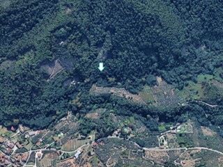 Terreno agricolo in Vendita a Buti, 10'066€, 11150 m²