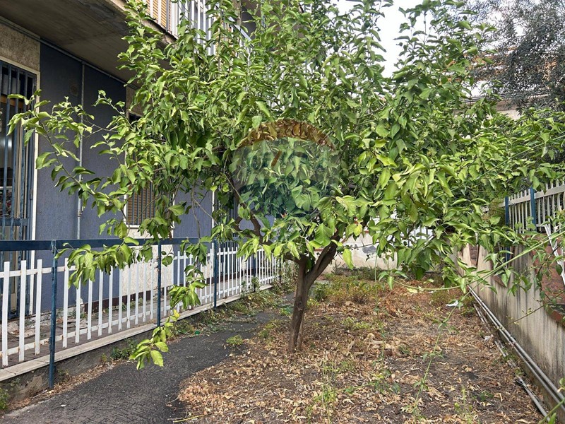 Appartamento in Vendita a Belpasso, 100'000€, 158 m²