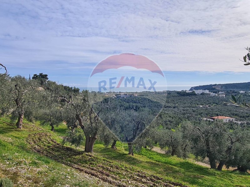 Terreno agricolo in Vendita a Vieste, 19'000€, 8000 m²