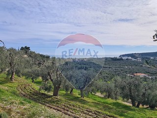 Terreno agricolo in Vendita a Vieste, 19'000€, 8000 m²
