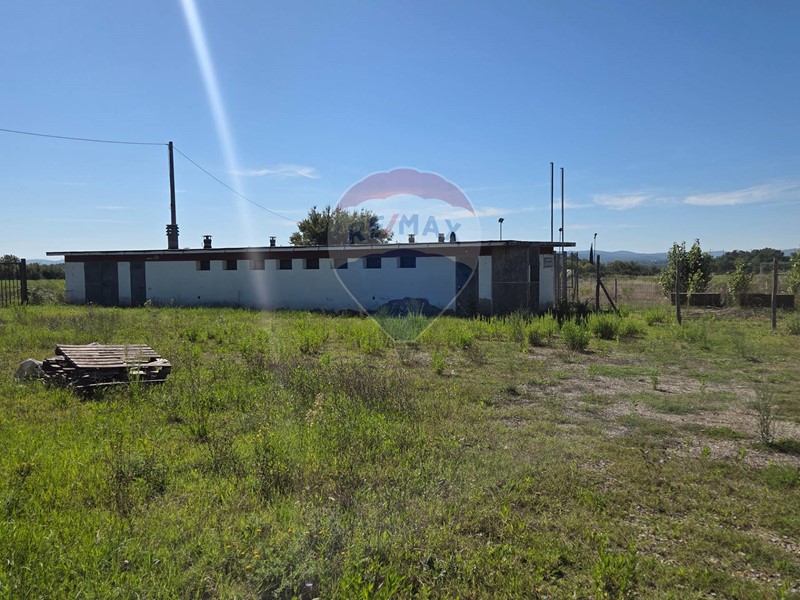 Terreno agricolo in Vendita a Terranuova Bracciolini, 88'500€, 15000 m²