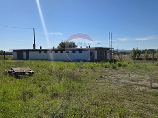 Terreno agricolo in Vendita a Terranuova Bracciolini, 88'500€, 15000 m²