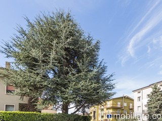 Appartamento in Vendita a Verona, 295'000€, 130 m²