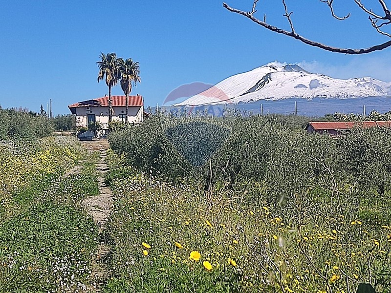 Terreno agricolo in Vendita a Paternò, 380'000€, 80000 m²