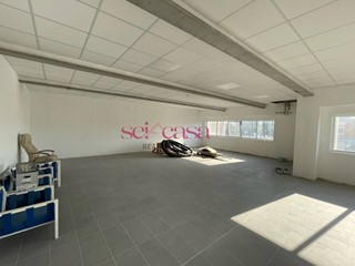 Ufficio in Affitto a Grosseto, 1'600€, 210 m²