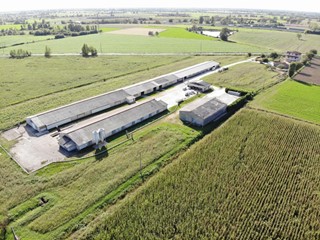 Terreno agricolo in Vendita a Leno, zona Porzano, 550'000€, 24500 m²