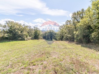 Terreno agricolo in Vendita a Semproniano, 12'000€, 22220 m²