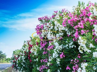 Quadrilocale in Vendita a Ancona, 270'000€, 98 m²