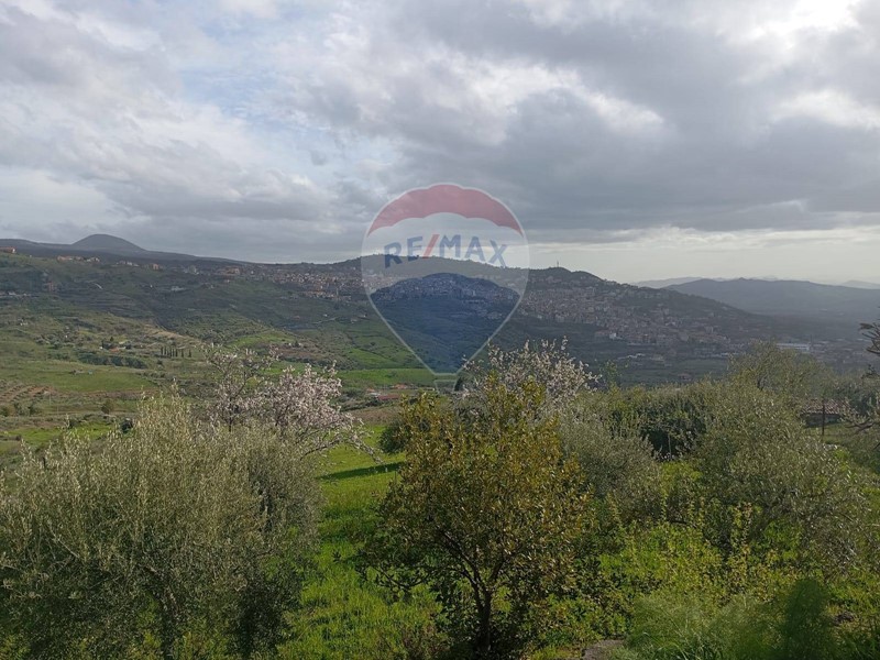Terreno agricolo in Vendita a Bronte, 60'000&euro;, 12000 m²