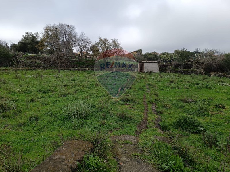 Terreno agricolo in Vendita a Tremestieri Etneo, 40'000€, 4500 m²