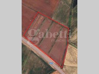 Terreno agricolo in Vendita a Codevigo, 23010 m²