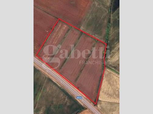 Terreno agricolo in Vendita a Codevigo, 23010 m²