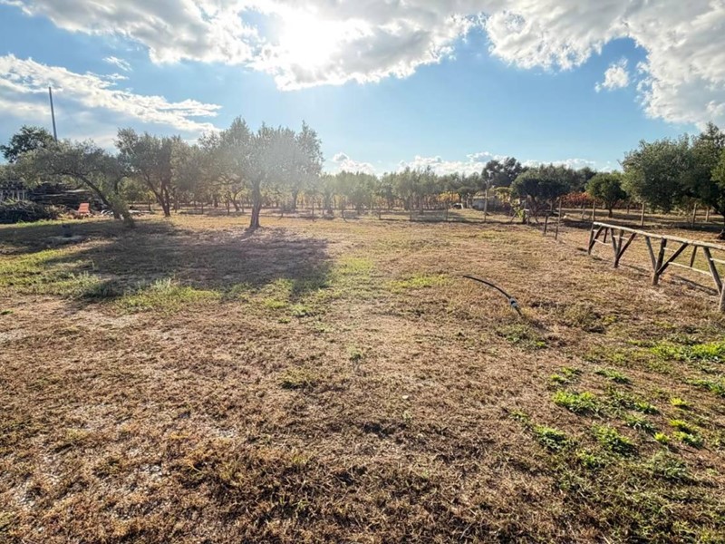 Terreno agricolo in Vendita a Lamezia Terme, 45'000€, 2000 m²