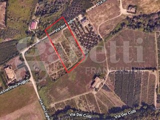 Terreno agricolo in Vendita a Martinsicuro, 38'000€, 9060 m²