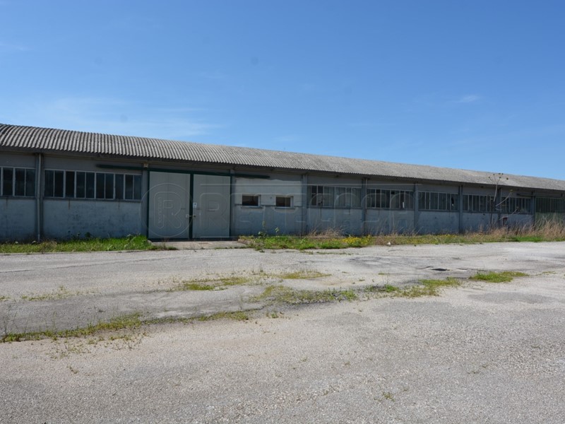 Capannone in Vendita a Trivignano Udinese, 149'000€, 3635 m²