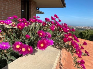 Villa in Vendita a Livorno, zona Montenero, 565'000&euro;, 183 m², con Box