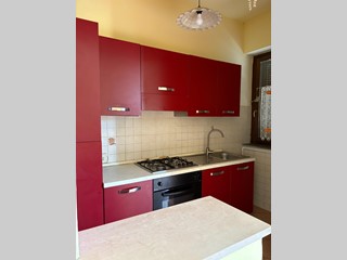 Quadrilocale in Vendita a Vecchiano, zona Migliarino, 110'000€, 70 m², arredato