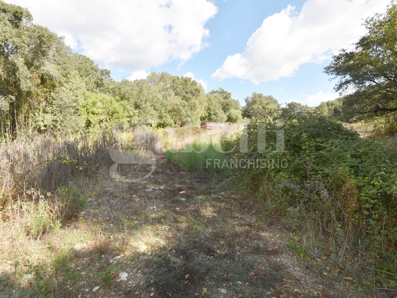 Terreno agricolo in Vendita a Berchidda, 100'000€, 54548 m²