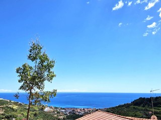 Terreno edificabile in Vendita a Castellaro, 55'000€, 4000 m²