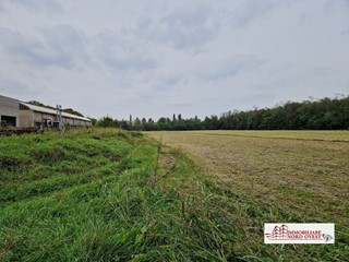 Terreno edificabile in Vendita a Arluno, 70'000€, 6000 m²