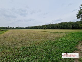 Terreno edificabile in Vendita a Vanzago, 70'000€, 6000 m²