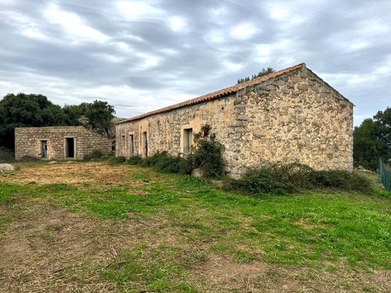 Terreno agricolo in Vendita a Luogosanto, 240'000€, 143843 m²