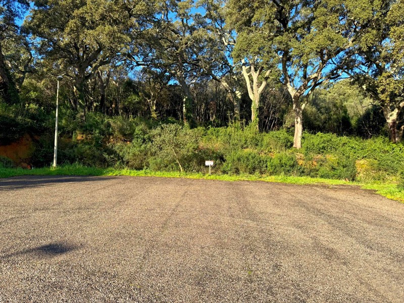 Terreno edificabile in Vendita a Luogosanto, 35'000€, 448 m²