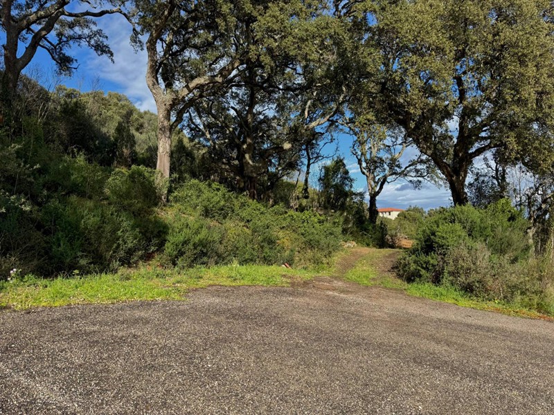 Terreno edificabile in Vendita a Luogosanto, 36'500€, 548 m²