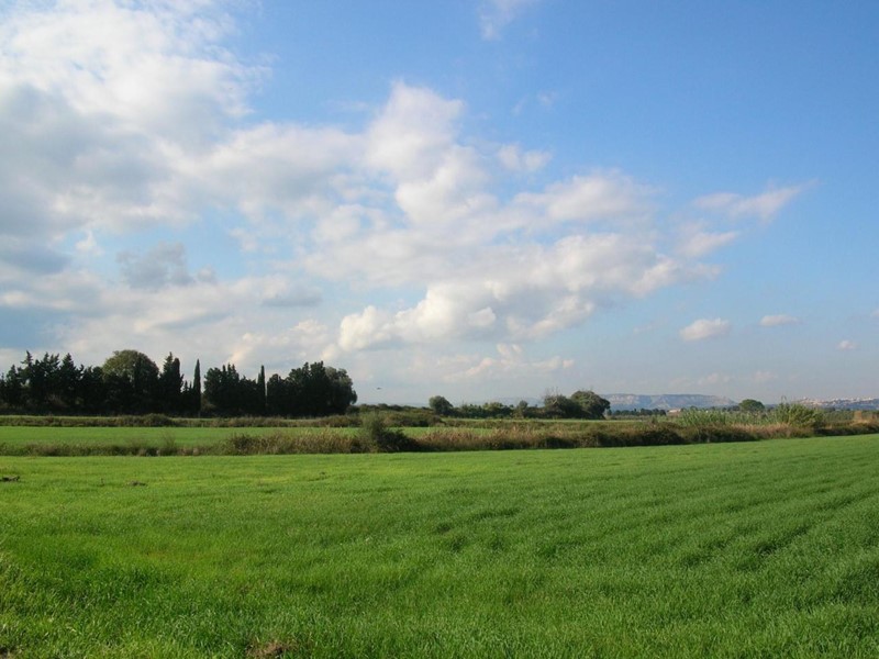 Terreno agricolo in Vendita a Siracusa, zona ELORINA - SANTA TERESA, 1'100'000€, 308659 m²