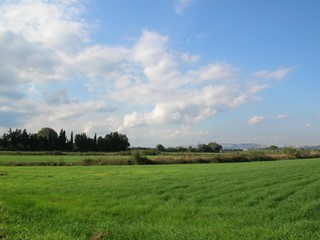 Terreno agricolo in Vendita a Siracusa, zona ELORINA - SANTA TERESA, 1'100'000€, 308659 m²