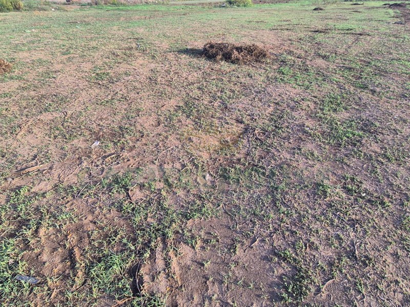 Terreno industriale in Vendita a Macerata Campania, 205'000€, 10160 m²