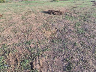 Terreno industriale in Vendita a Macerata Campania, 205'000€, 10160 m²