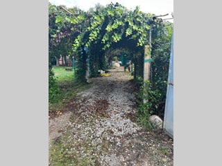 Terreno agricolo in Vendita a Campiglia Marittima, zona Venturina, 25'000&euro;, 800 m²