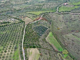Terreno agricolo in Vendita a Usini, 25'000€, 10243 m²
