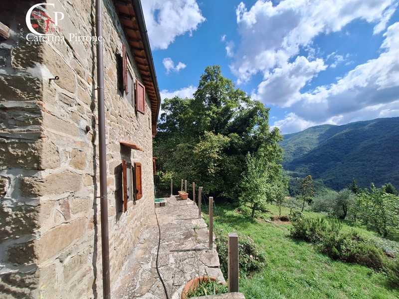 Rustico in Vendita a Londa, 365'000€, 278 m²