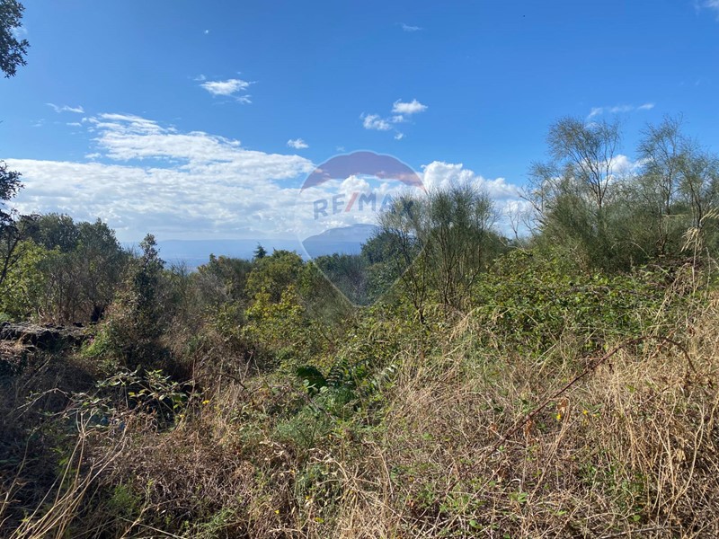 Terreno agricolo in Vendita a Ragalna, 10'000&euro;, 1800 m²