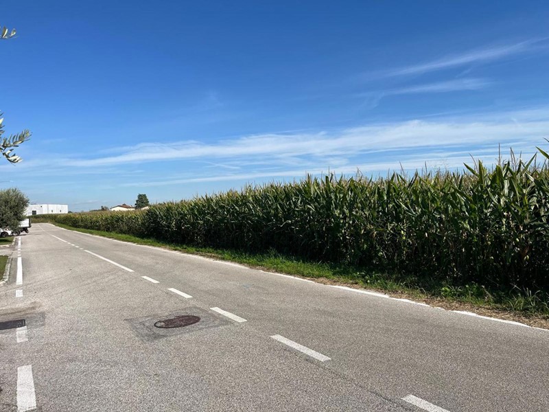 Terreno agricolo in Vendita a Marostica, 88'000€, 9650 m²