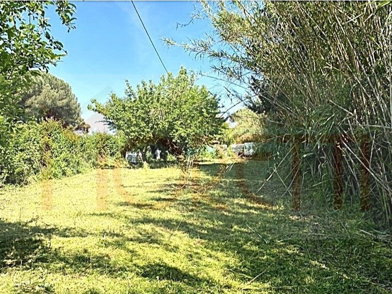 Terreno agricolo in Vendita a Livorno, 38'000&euro;, 3600 m²