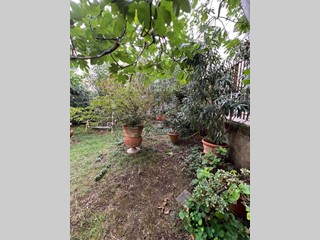 Villa in Vendita a Firenze, zona San Jacopino, 690'000€, 220 m²