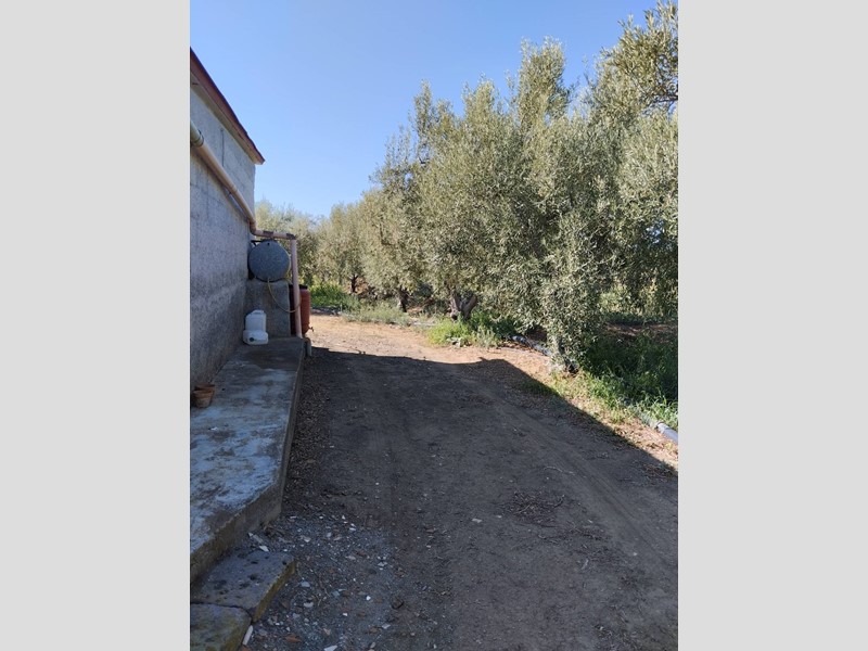 Terreno agricolo in Vendita a Ramacca, 60'000€, 21843 m²