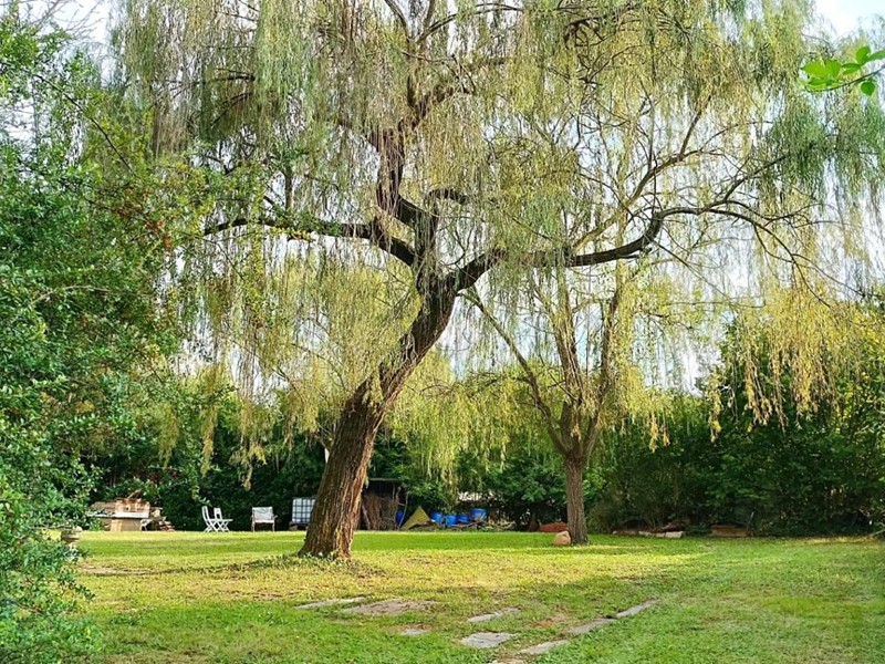 Terreno agricolo in Vendita a La Cassa, 39'000€, 2996 m²