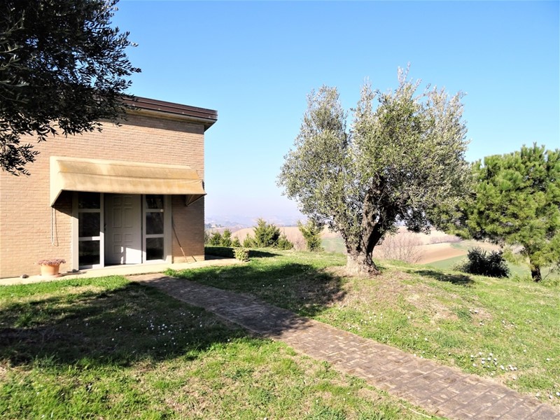 Terreno agricolo in Vendita a Senigallia, 250'000€, 36000 m²