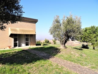 Terreno agricolo in Vendita a Senigallia, 250'000€, 36000 m²