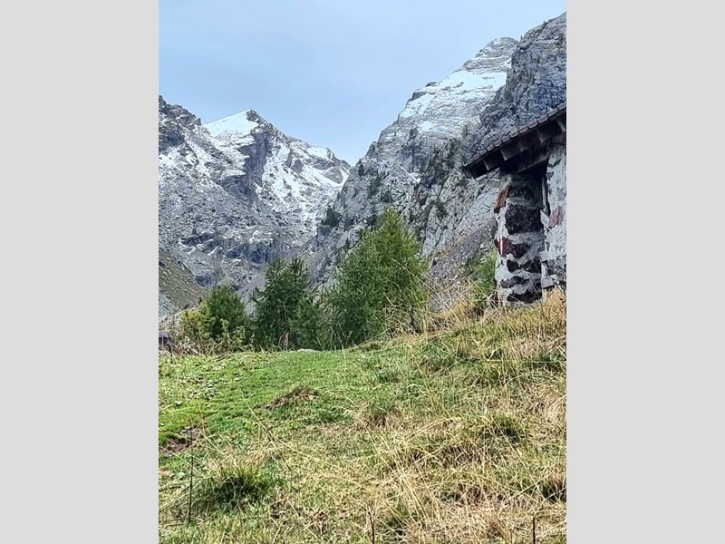 Bilocale in Affitto a Milano, zona Baggio, 850€, 38 m², arredato