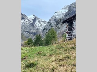 Bilocale in Affitto a Milano, zona Baggio, 850&euro;, 38 m², arredato