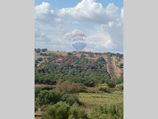 Terreno agricolo in Vendita a Caltagirone, 25'000€, 23400 m²