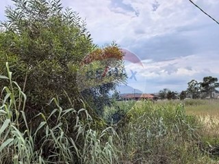 Terreno agricolo in Vendita a Catania, 15'000€, 1000 m²